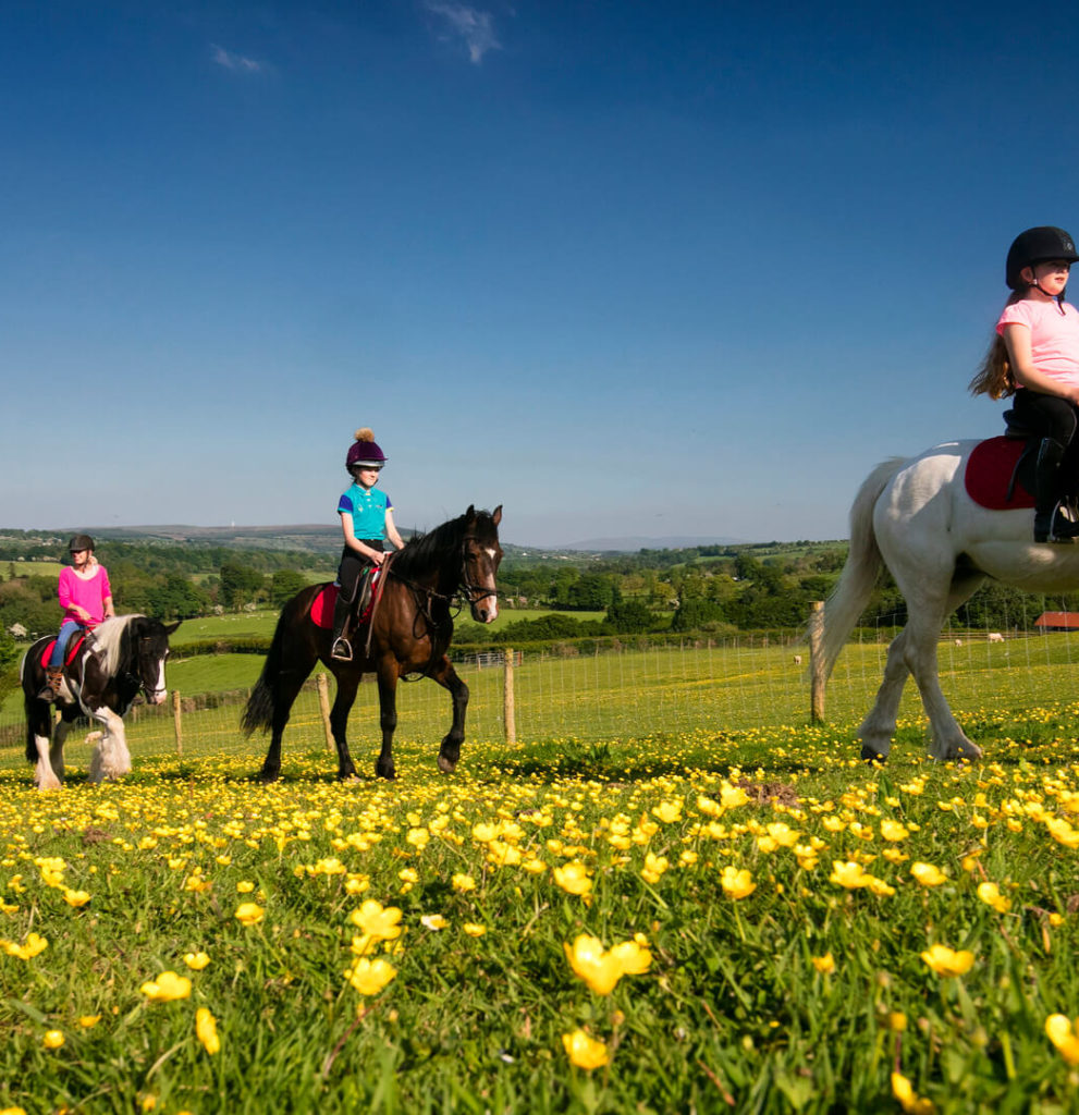 horse riding day trips